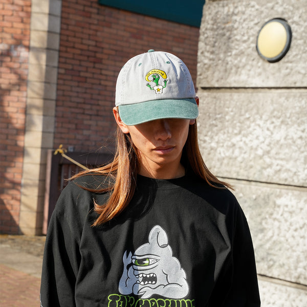 TURTLE BOY PIGMENT CAP