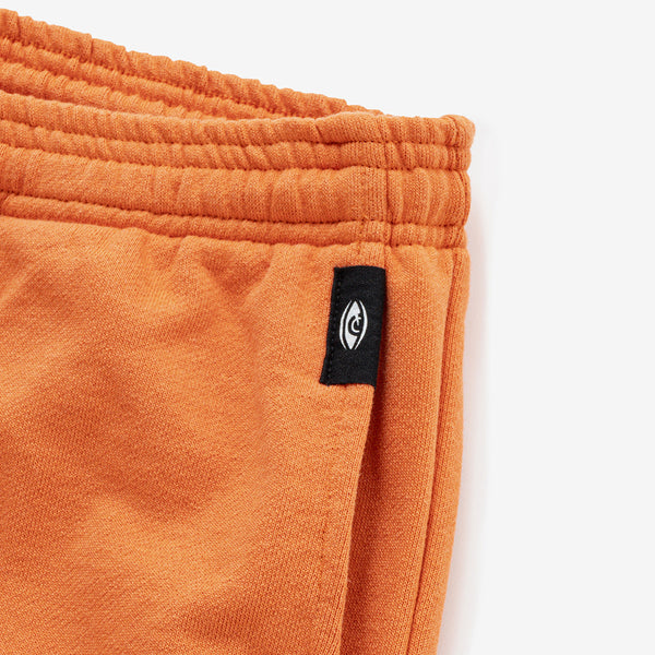 (HEAVY WEIGHT) BRAINWASH SWEAT PANTS