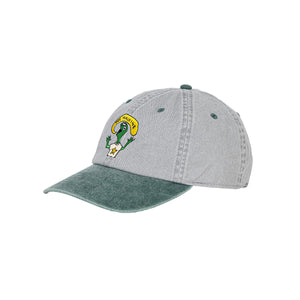 TURTLE BOY PIGMENT CAP