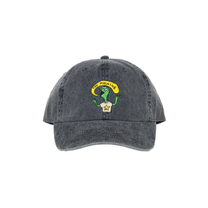 TURTLE BOY PIGMENT CAP