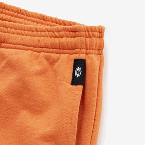 (HEAVY WEIGHT) BRAINWASH SWEAT PANTS