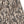 TM CAMO EMBORIDERED SWEAT PANTS